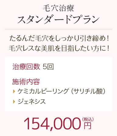 毛穴治療スタンダードプラン