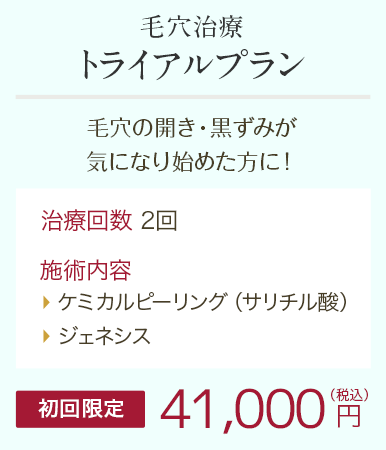 毛穴治療トライアルプラン